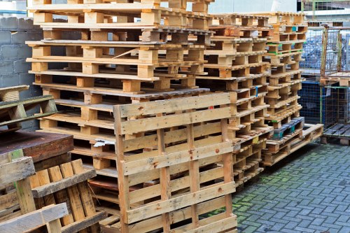 Investigator reviewing records for waste removal services